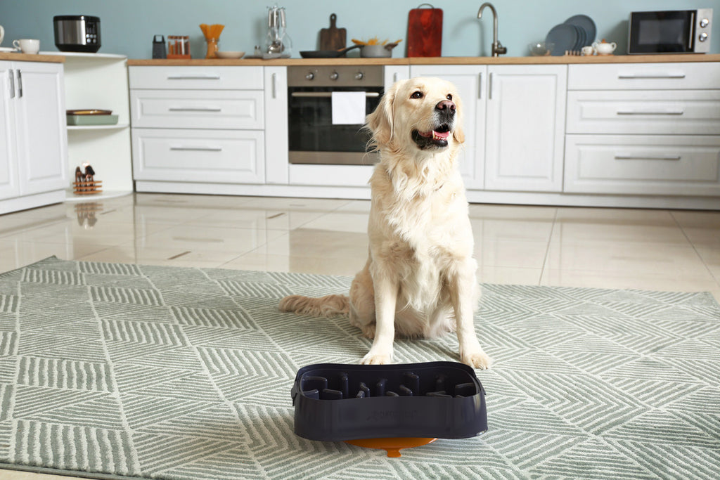 Marley Slowappy Slow Feeder  Bowl - Dark Grey