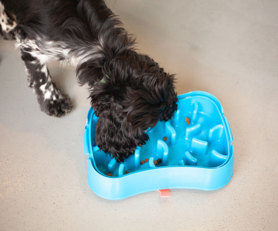 Marley Slowappy Slow Feeder  Bowl - Blue