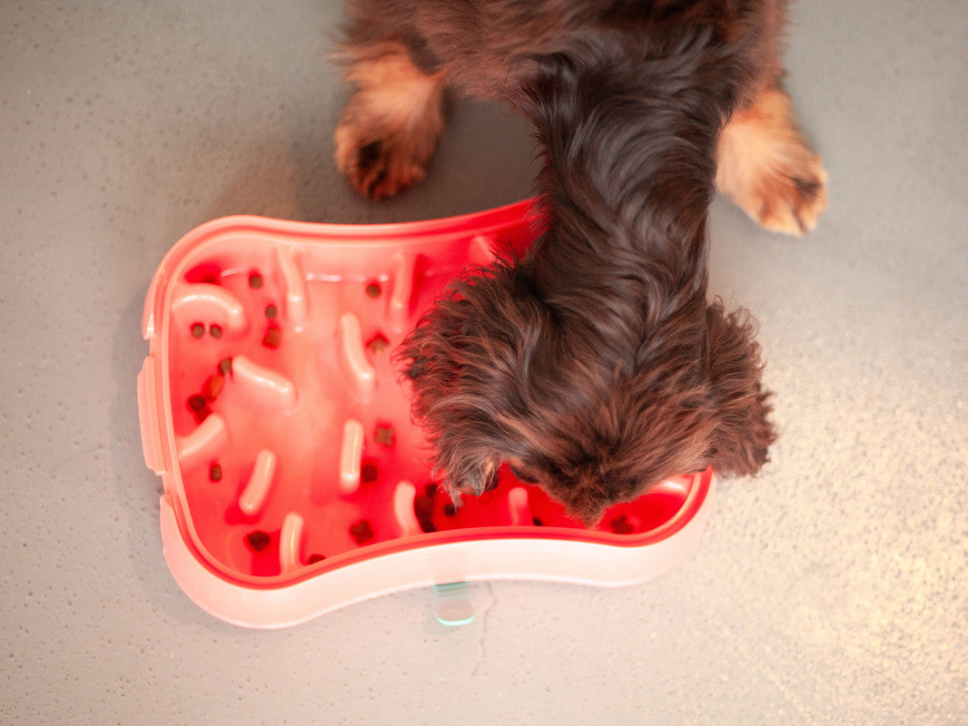 Marley Slowappy Slow Feeder  Bowl - Warm Ocean Red