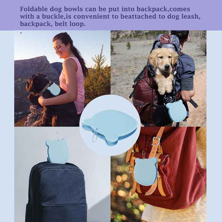 Blue Portable Collapsible Pet Bowl Set - Food-Grade Silicone Double Bowl for Dogs & Cats, Anti-Slip & Easy to Clean